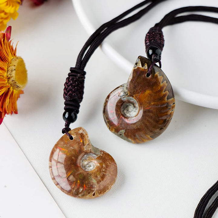 Kette Ammonit Fossilie Schnecke Heilung Natur