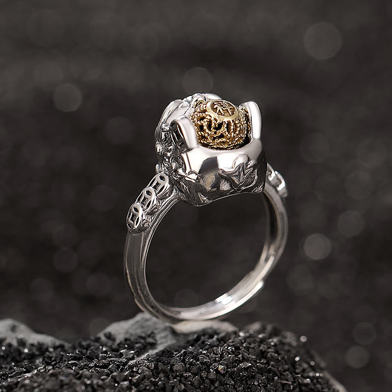 Ring 925 Silber Kupfermünze Pixiu Wohlstand Glück Feng Shui Amulett