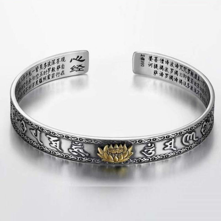 Armband Feng Shui PiXiu Reichtum Glück Silber