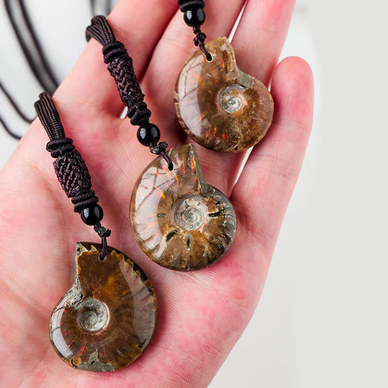 Ammonit Kette Fossil Anhänger Heilung Natur