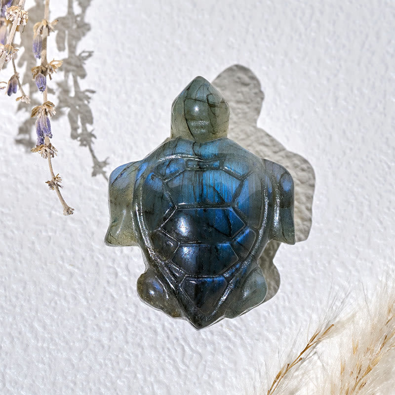 Deko Schildkröte Labradorit Schutz Geschenk