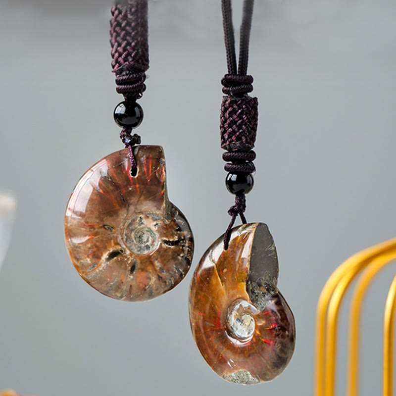 Kette Ammonit Fossilie Schnecke Natur Heilung