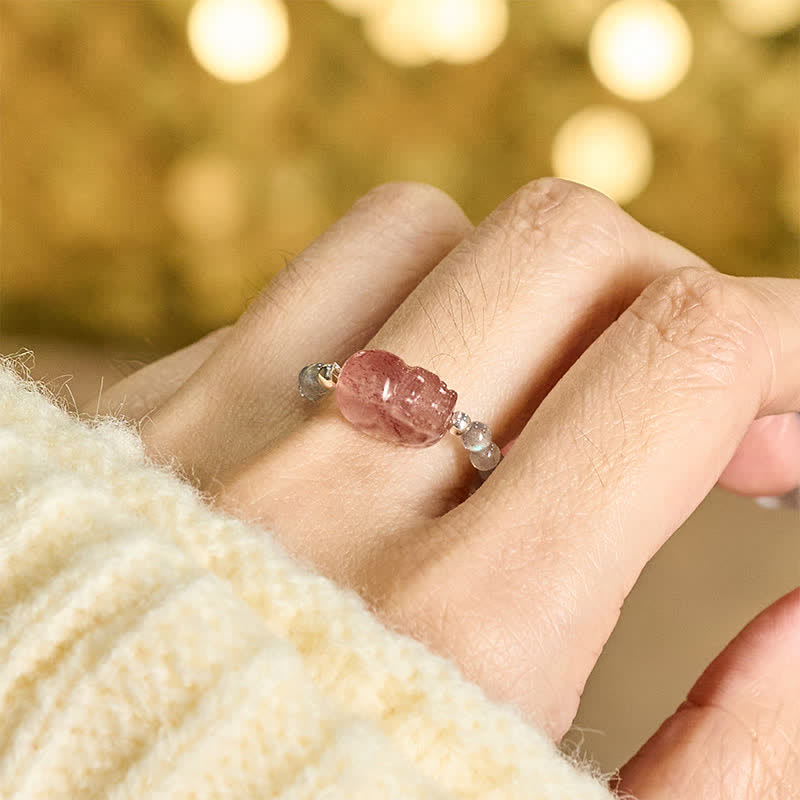Pixiu Ring Turmalin Heilsteine getragen Fengshui Glück Mondstein