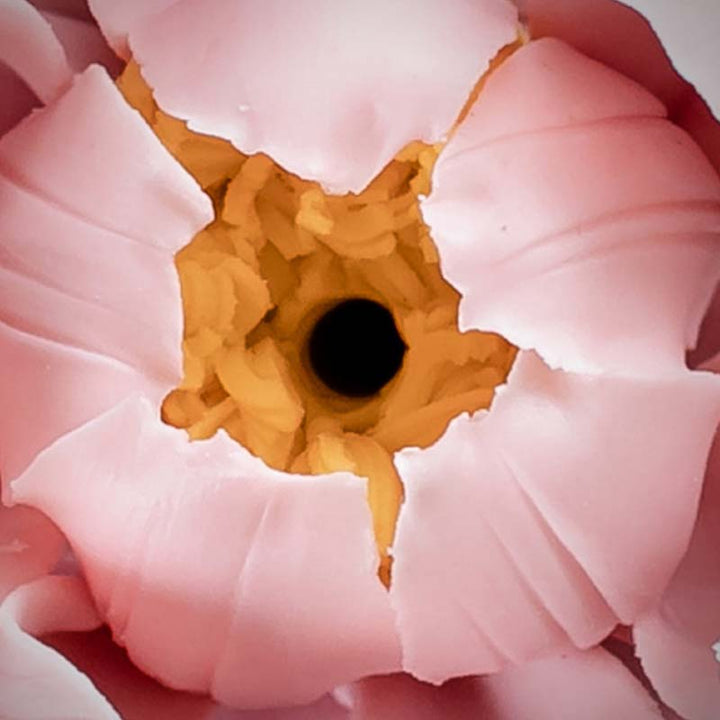 Räucherstäbchen Mit Halter Lotus Tibetisch Deko